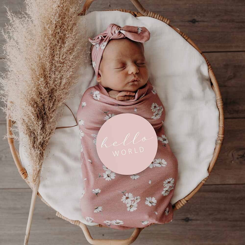 Daisy & Musk Pink Reversible Milestone Cards - Image 4