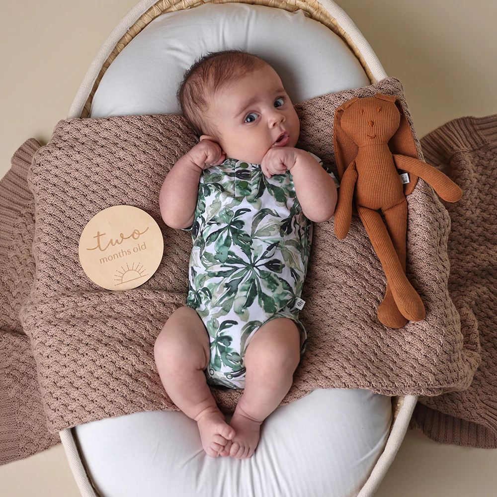 Evergreen Short Sleeve Organic Bodysuit - Image 5