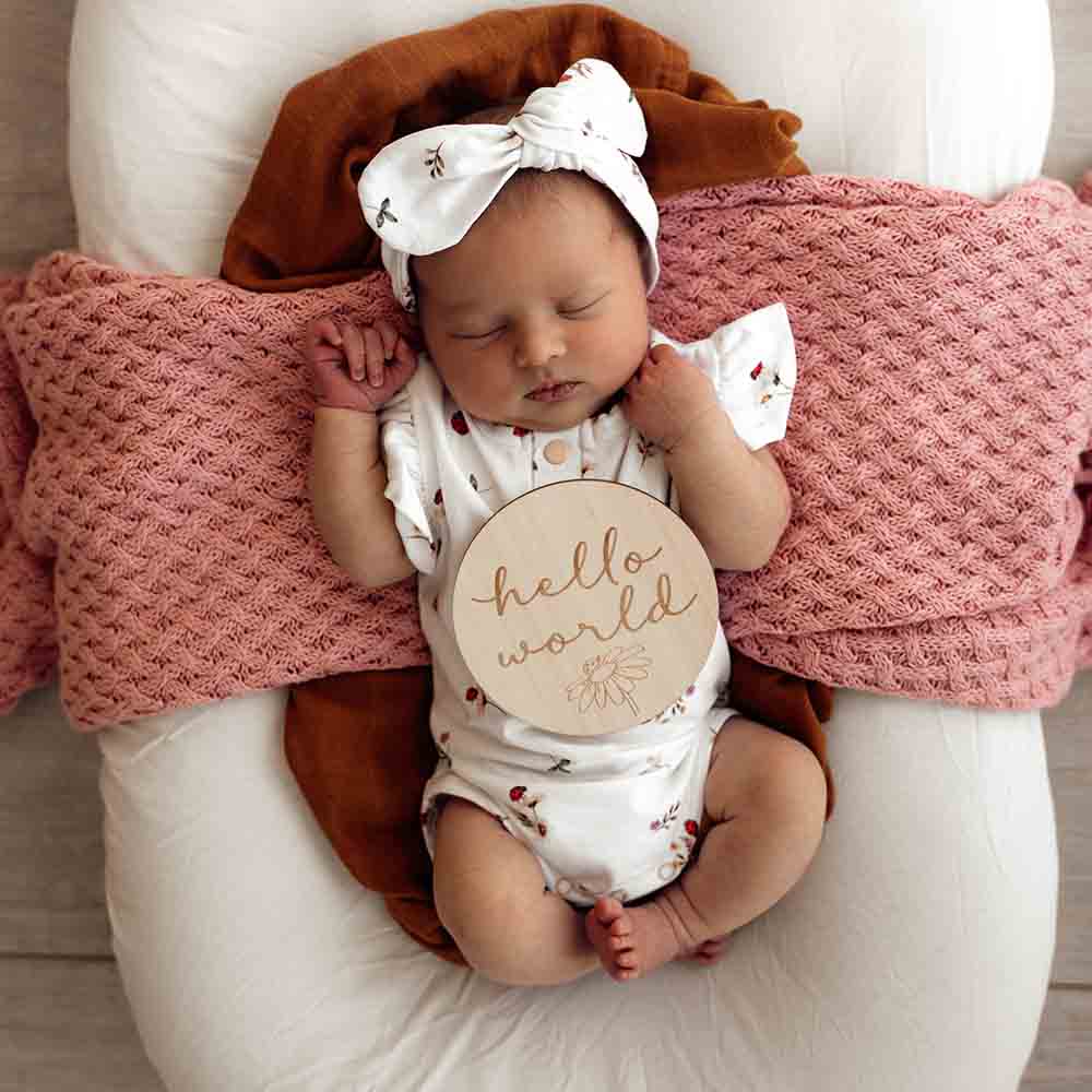 Ladybug Wooden Milestone Cards - Image 4