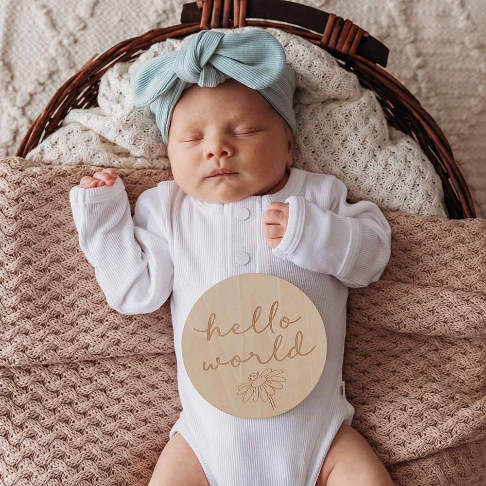 Ladybug Wooden Milestone Cards - Image 5