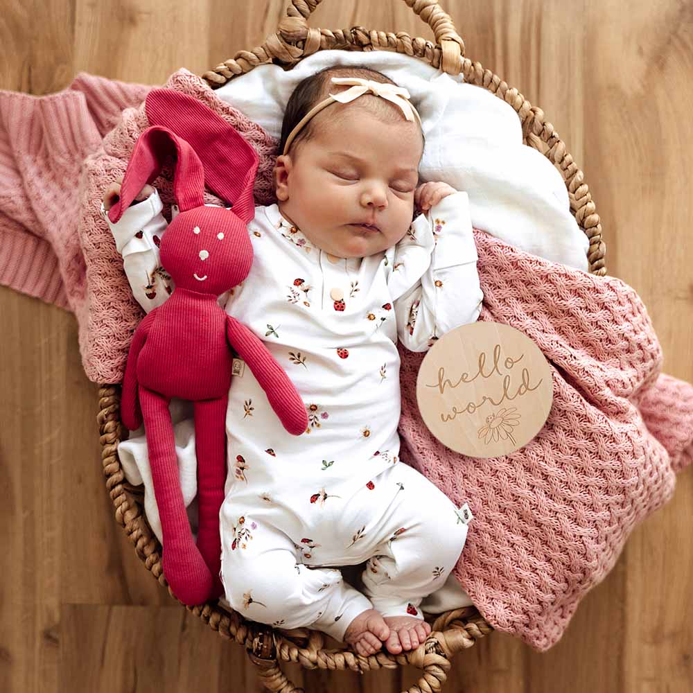 Ladybug Wooden Milestone Cards - Image 6