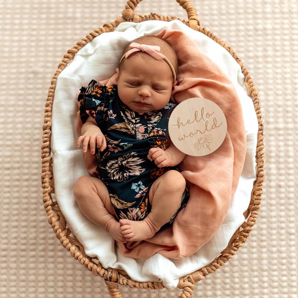 Ladybug Wooden Milestone Cards - Image 7