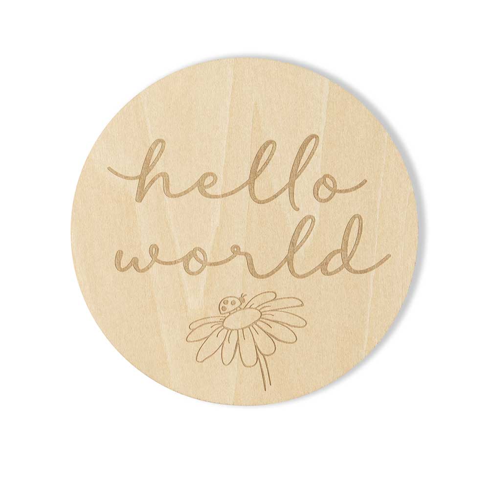 Ladybug Wooden Milestone Cards - Image 8