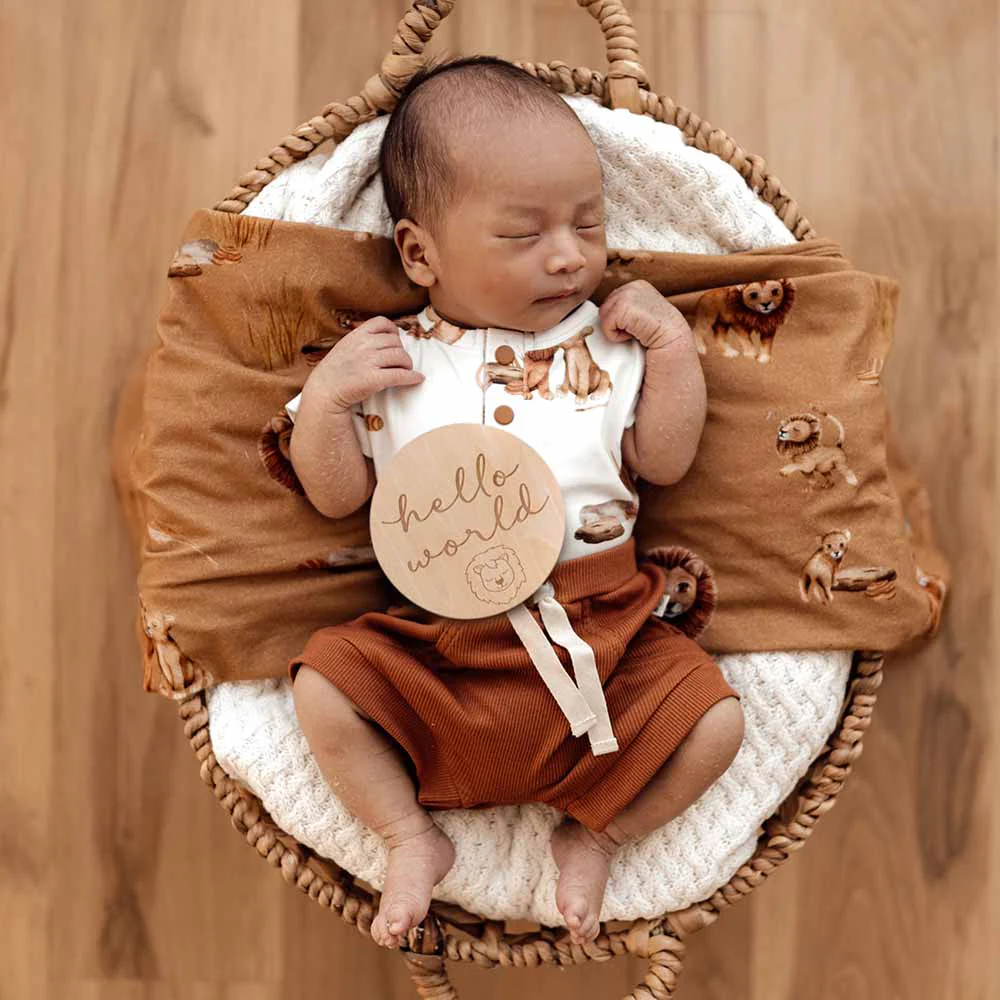 Lion Wooden Milestone Cards - Image 4