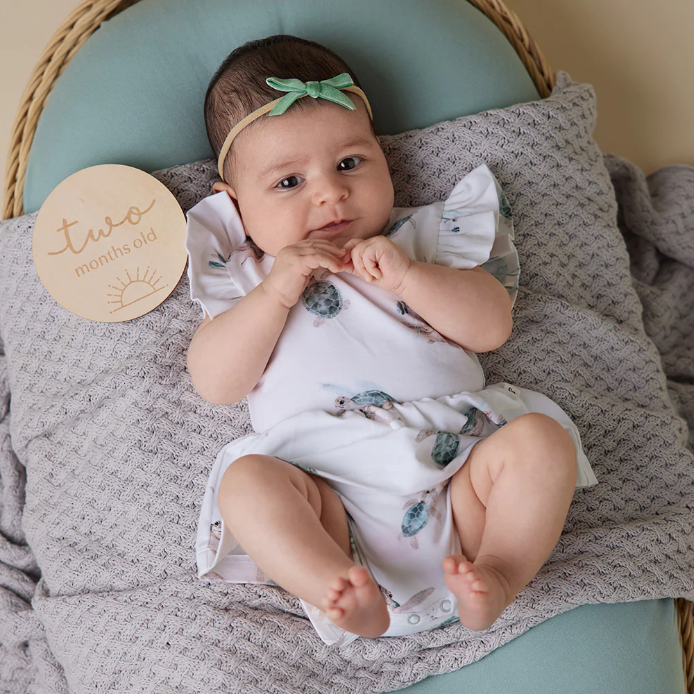 Turtle Short Sleeve Organic Dress - Image 6