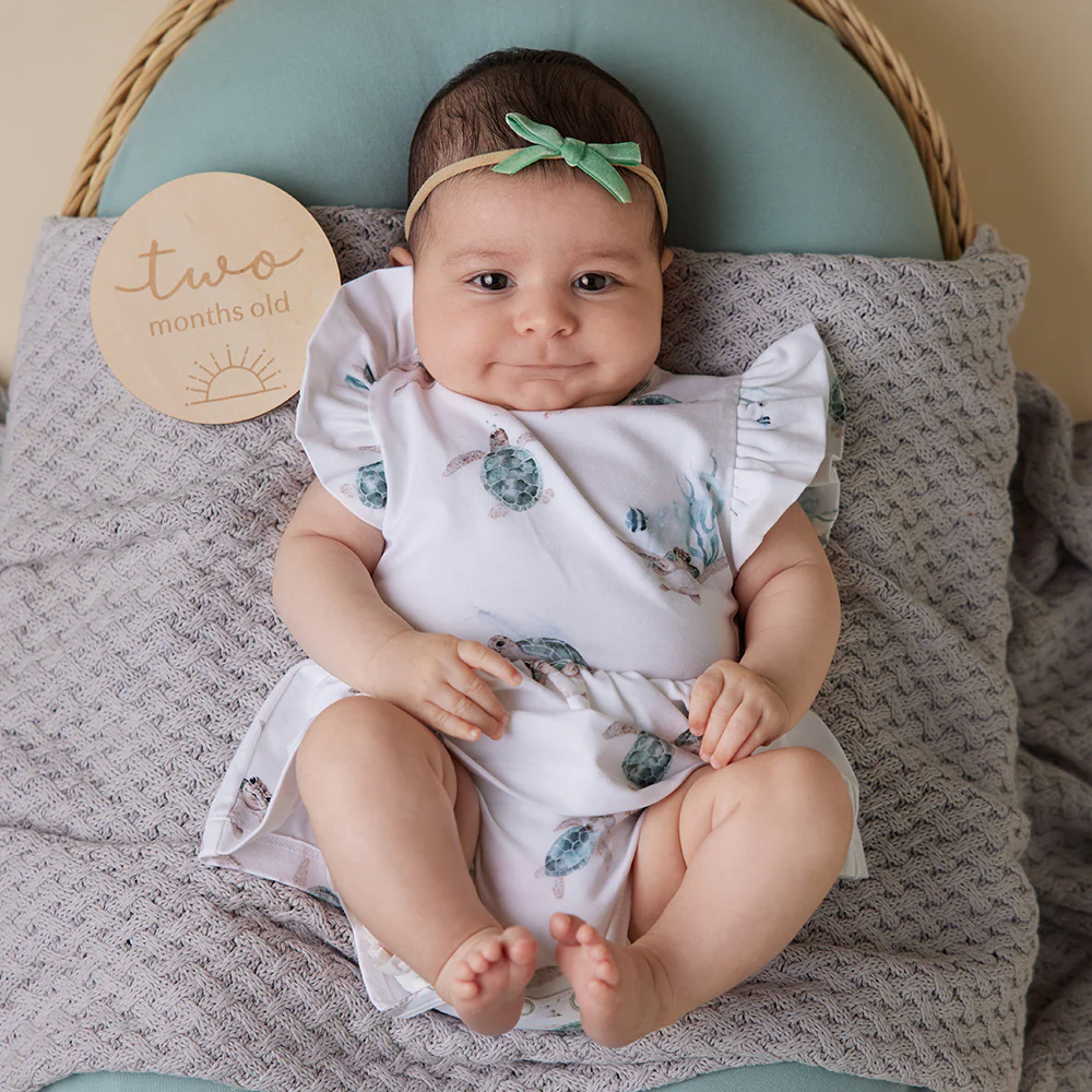 Turtle Short Sleeve Organic Dress - Image 8